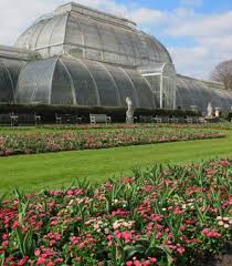 Exoten und garten fatsia polycarpa. Aussergewohnliche Botanische Garten Exoten Und Raritaten An Orten Der Ruhe