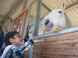 2023: The Mercury News Wish Book Impact Report by Bay Area News Group  Marketing