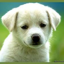 Read more about earth element. What Is Your Soul Element