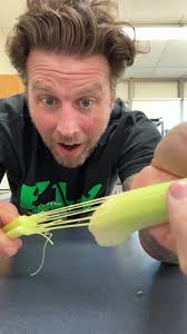 Real Celery Vs Fake Celery