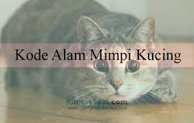 Dalam buku mimpi erek erek kucing, banyak sekali penafsiran terkait mimpi kucing ini, diantaranya kucing masuk rumah, kucing ditabrak, kucing mati, kucing berkelahi, kucing beranak, kucing hitam dan lain sebagainya. Kode Alam Mimpi Kucing Menurut Primbon Dan Erek Erek Mimpi