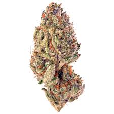 It is a real pleasure to grow, la cookies won't require much effort to . Tropicana Cookies Weed Strain Reviews Leafly