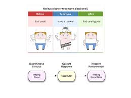 Ap Psychology 3 1 Learning Ppt Video Online Download