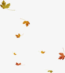 Falling Leaves Leaves Falling Down Floating Elements Png Transparent Clipart Image And Psd File For Free Download Folhas Caindo Sobreposicoes Photoshop