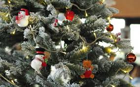 Sapin De Noel 2019 Auchan 10 Offerts En 1 Bon