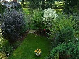 Obststräucher gibt es in unterschiedlichen arten. Stra Ucher Und Straucharten Straucher Garten Garten Gartengestaltung