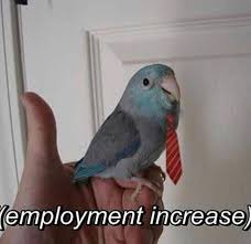 Employment Increase Parrotmemes Funny Parrots Funny Animal Pictures Bird Meme