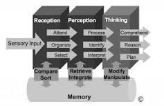 Image result for While reading this sentence, list three cognitive processes that are being used