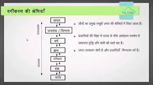 Diversity Part 1 Hindi Youtube