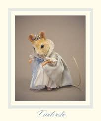 Cinderella Cute Animal Memes Cute Little Animals Cute Animals
