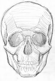 My Skull Front By Stevegibson On Deviantart Art Drawings Sketches Skulls Drawing Skull Sketch