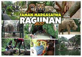 Maybe you would like to learn more about one of these? Wahana Koleksi Hewan Harga Tiket Masuk Ragunan Terbaru 2020