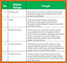 Kelas ix, viii, vii (buku &mldr; Kunci Jawaban Ipa Kelas 9 Ayo Kita Lakukan Aktivitas 2 2 Halaman 64 65 66 Wali Kelas Sd