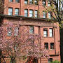 Profile Picture of Adam Kowalczyk - Harvard Museum of Comparative Zoology (@harvard.edu) on Google