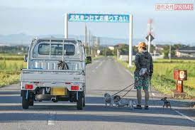 May 20, 2019 · 坂上忍さんの家の土地は110坪 (374.02㎡)で1480万円で、建物の建築費用が3520万円だと番組で発表されています。 当時は予算5000万円で12匹の愛犬をメインにして家を探していました。 å‚ä¸Šå¿ å¿—æ'ã©ã†ã¶ã¤åœ' ã‹ã‚‰å¼•ãå–ã£ãŸç¾©è¶³çŠ¬ã‚µãƒ³ã‚¿ãŒé…·æš'ã®ãªã‹è¡Œæ–¹ä¸æ˜Žã« é€±åˆŠå¥³æ€§prime ã‚·ãƒ¥ãƒ¼ã‚¸ãƒ§ãƒ—ãƒ©ã‚¤ãƒ  Youã®ã‚³ã‚³ãƒ­åˆºæ¿€ã™ã‚‹