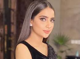 Actress Saboor Aly looks ravishing in black saree