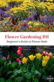 How to grow a flower garden. What Is A Flower Garden A Beginner S Guide To Growing Flowers At Home Gardening Channel