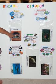 Our Animal Kingdom Chart Animal Kingdom Homeschool Science Science Projects