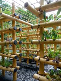 Bamboo Hydroponic Systems Futurist Playground