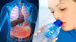 El ciclo de urea es un proceso por el cual los desechos (amoníaco) se eliminan del cuerpo. Urea Valores Causas Enfermedades Hepaticas Y Renales