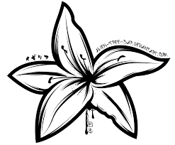 Water lilies coloring page from water lily category. Lily Coloring Pages Books 100 Free And Printable