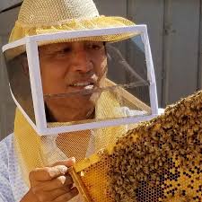 Sung Lee The Bee Charmer