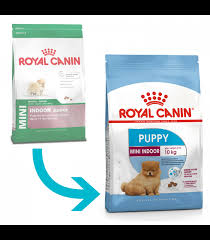 Royal Canin Mini Indoor Puppy 1 5kg Dog Dry Food Pet Warehouse Philippines