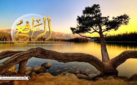 عالم الحيوان خلفيات اسماء الله الحسنى اكثر من روعة okay gesture