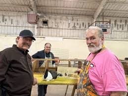 Northern California Angora Guild: Open Top Winners at Hanford