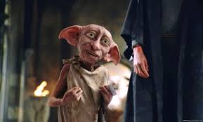 A Woman Dressed Her Hairless Cat Up As Dobby For Halloween And It Is Everything Hellogiggles We've gathered more than 5 million images uploaded by our users and sorted them by the most popular ones. a woman dressed her hairless cat up as