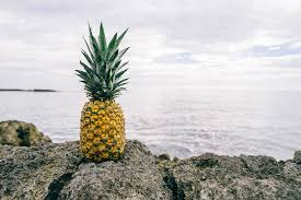 This means that while pineapple is a perfectly healthy treat in small quantities, it can have adverse effects on your. Can Cats Eat Pineapple Tinned Fresh And Juice All Covered
