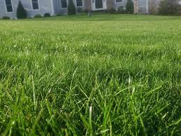 Your business forward through permit and license. A1 Home Improvement Owner A1 Home Improvement Linkedin