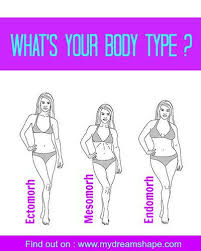 All contents ™ and © of their content owners, unless otherwise noted herein. What S Your Body Type My Dream Shape Body Types Body Endomorph