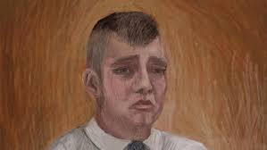 Halt surfing amid shark boom, victim's friend says