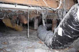 They usually are found whenever there is a leak in the roof or if a room is directly under a bathroom with some sort of plumbing issue. How Can I Get Rid Of Dampness And Mold In My Mobile Home Mobile Home Friend