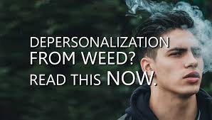 No, using gel will not make your hair go grey. Depersonalization From Weed Top 10 Tips To Feel Better Today