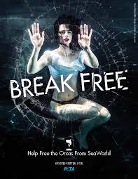 A Rare Animal We Interview Ingrid Newkirk Founder Of Peta Eluxe Magazine Krysten Ritter Sea World Animal Activism