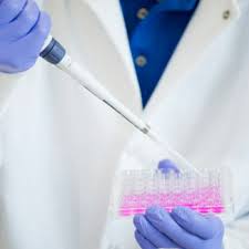 Check spelling or type a new query. Stellixir Biotech Training Workshop Basic Animal Cell Culture Training