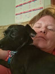 Don't mind me, just taking my best friend for a hike! 🐕🎒