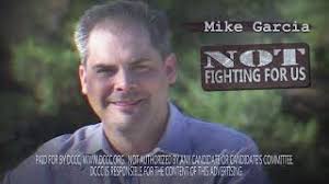 California's 25th Congressional District election, 2020