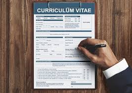 Professional cv format and samples. What Is Important To Write In Your Cv Iwconnect