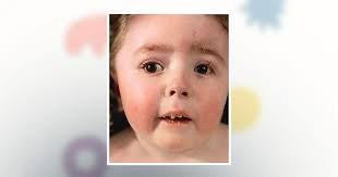 Octavian Shayde Muse Obituary February 19, 2025