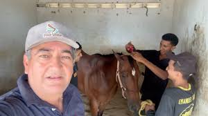 Visitando nossos amigos das Corridas de Cavalos 🏇🏿 de Senador Pompeu