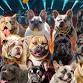 NEW MEXICO TRUE GROUNDWORK BULLY BASH