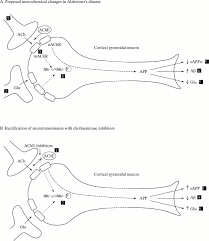 The Cholinergic Hypothesis Of Alzheimer S Disease A Review Of Progress Journal Of Neurology Neurosurgery Psychiatry