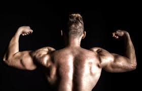Pochi semplici esercizi per fare crescere i bicipiti e fare esplodere la massa. Esercizi Per Bicipiti Migliori 3 Fitnessway Formazione Personal Trainer