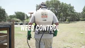 Nicotine sprays are a traditional remedy for a range of pests, including whiteflies, gnats, root and leaf aphids, thrips and leafminers. Pest Control Service Lawn Care For Buda Kyle Austin