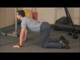 Here you may to know how to do cat camel. Cat Camel Exercise Youtube