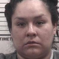 Homer parents face domestic, child abuse charges