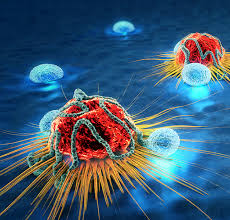 See more ideas about oncology, cancer, oncology nursing. Advancements And Challenges Of Imaging In The Immuno Oncology Space Insights From Our Labs To Yours